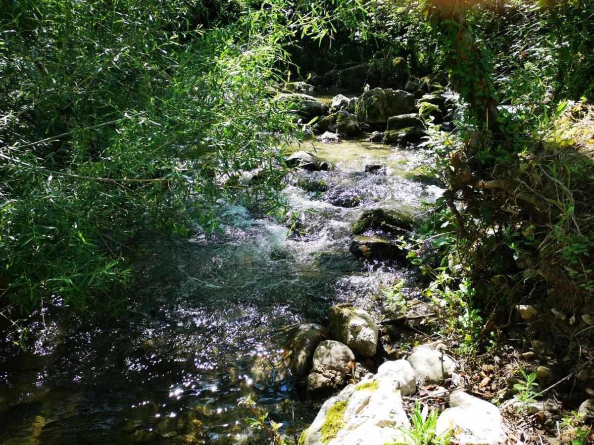 Molino Dei Ciliegi Splendida Villa In Umbria San Venanzo Buitenkant foto